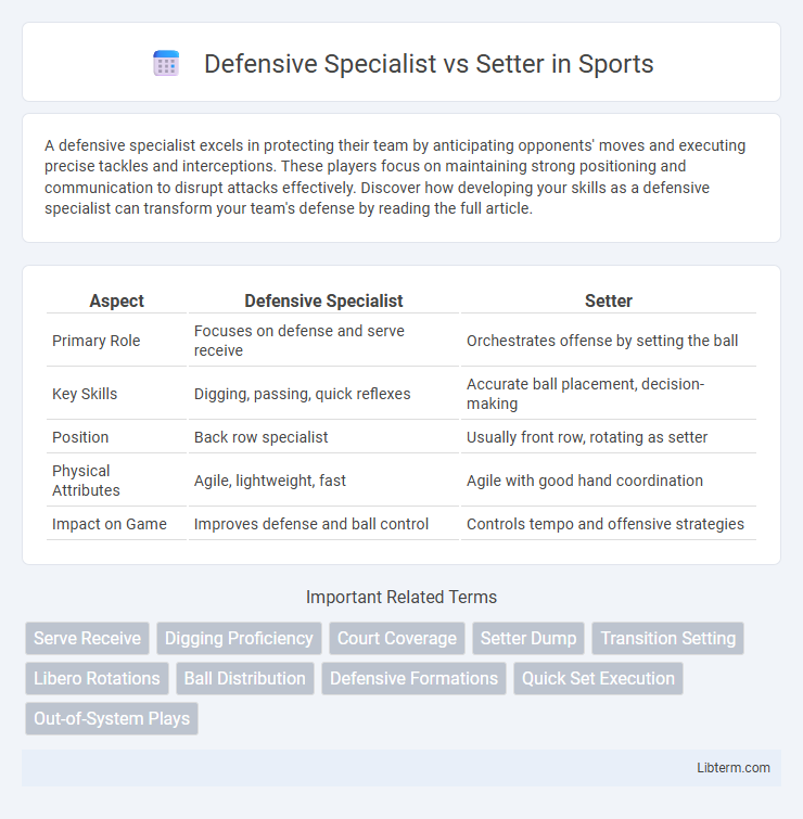 Setter vs Defensive Specialist in Sports - What is The Difference?