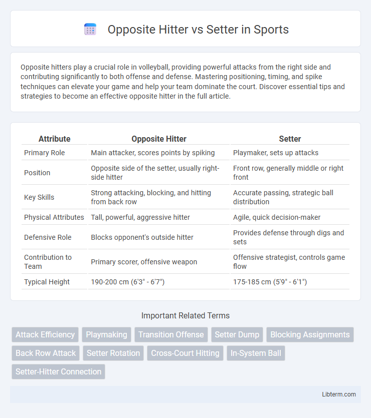 Setter vs Opposite Hitter in Sports - What is The Difference?