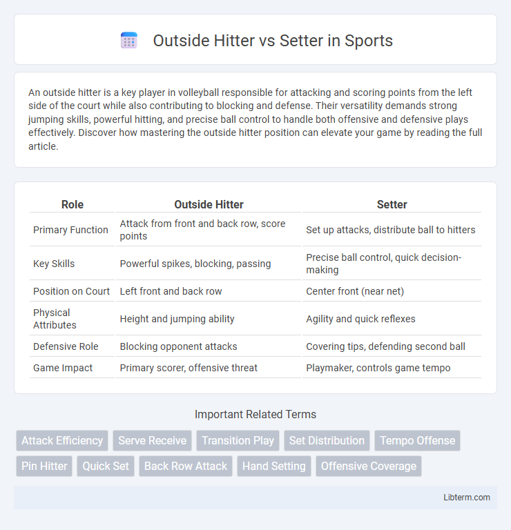 Setter vs Outside Hitter in Sports - What is The Difference?