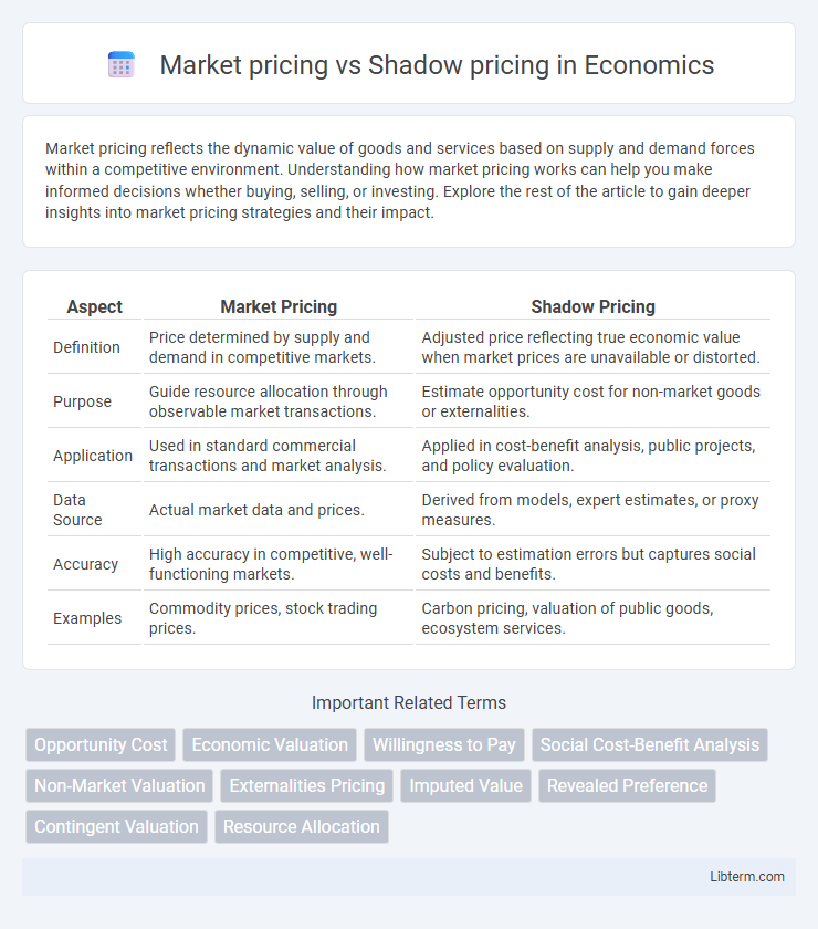 Shadow pricing vs Market pricing in Economics - What is The Difference?
