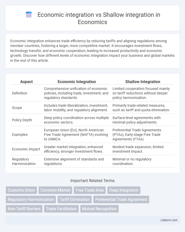 Shallow integration vs Economic integration in Economics - What is The Difference?