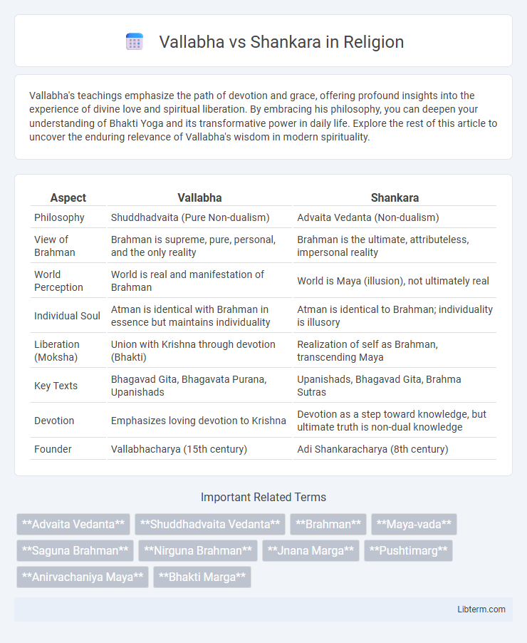 Shankara vs Vallabha in Religion - What is The Difference?