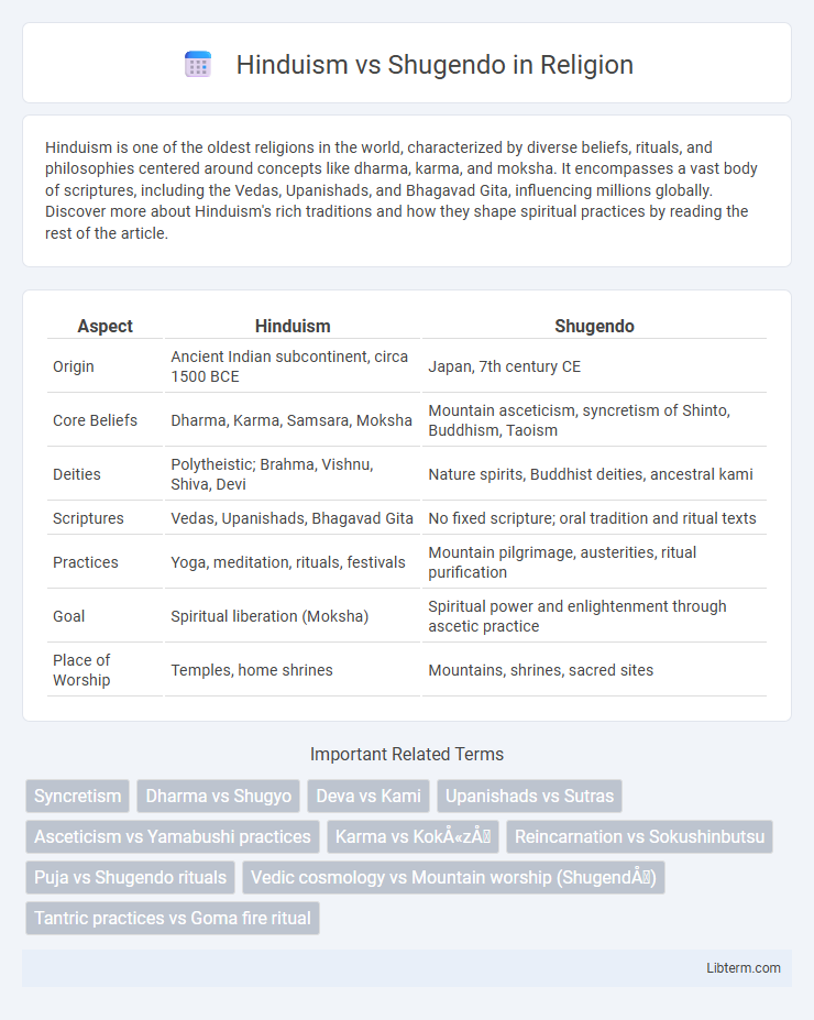 Shugendo vs Hinduism in Religion - What is The Difference?