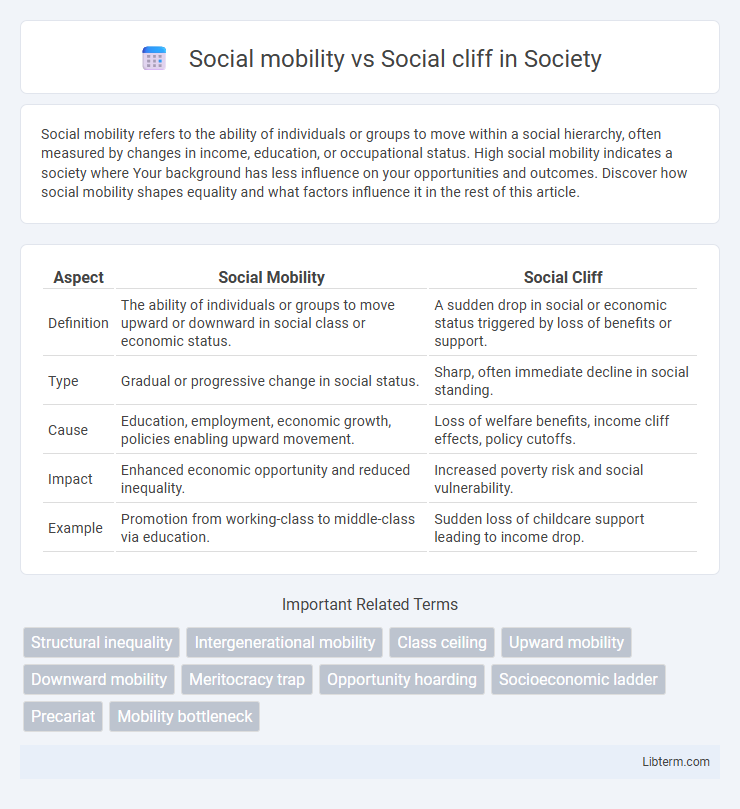 Social cliff vs Social mobility in Society - What is The Difference?