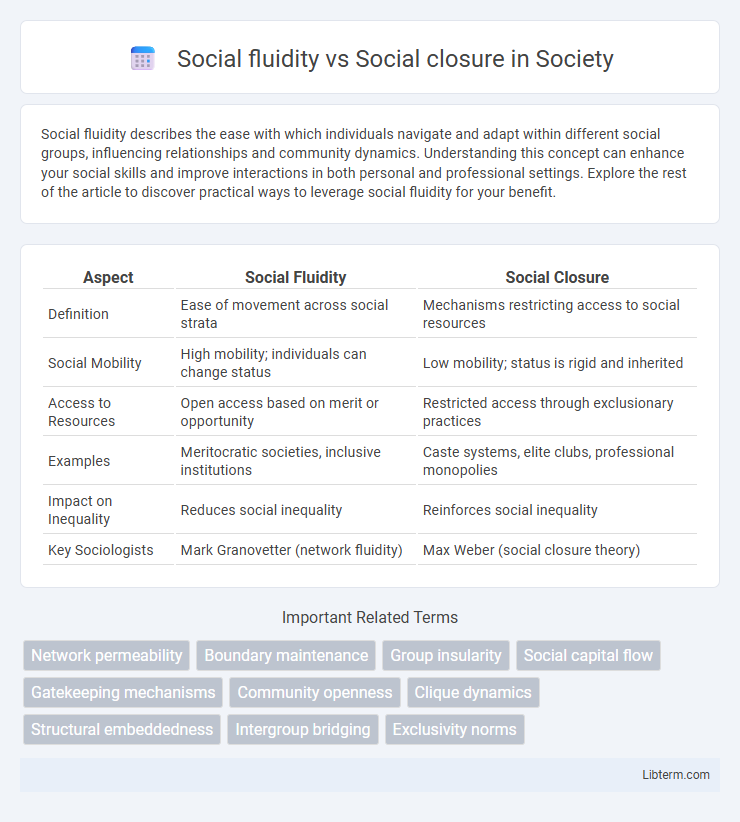 Social closure vs Social fluidity in Society - What is The Difference?