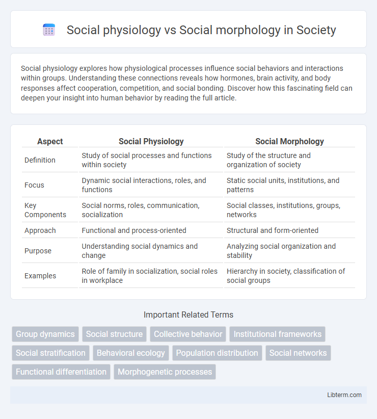 Social morphology vs Social physiology in Society - What is The Difference?