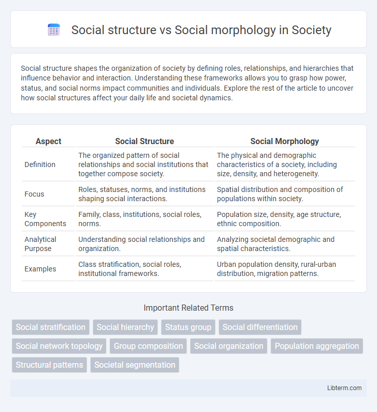 Social morphology vs Social structure in Society - What is The Difference?