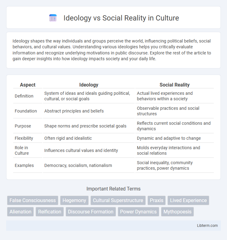 Social Reality vs Ideology in Culture - What is The Difference?