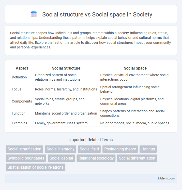 Social space vs Social structure in Society - What is The Difference?