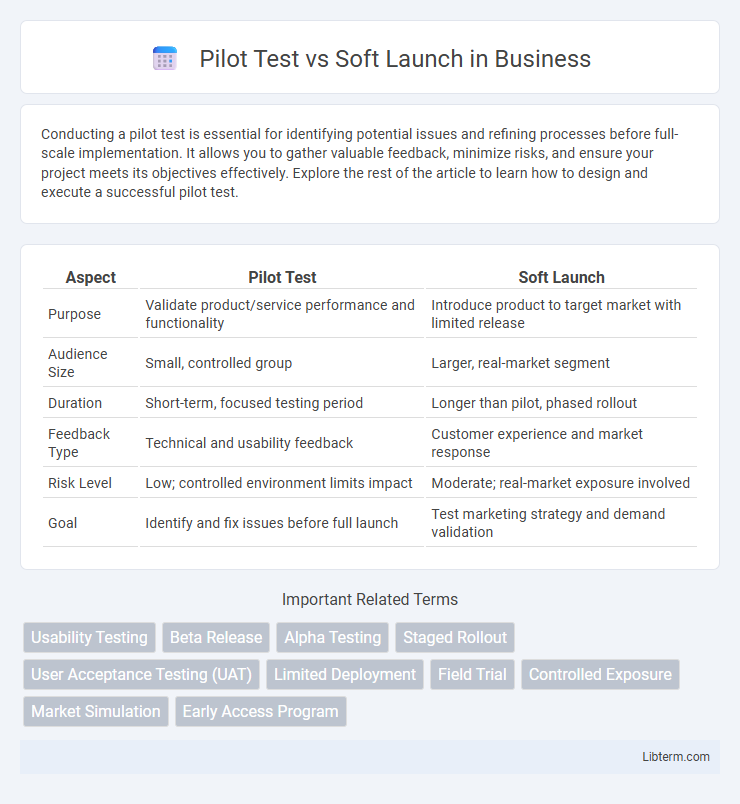 Soft Launch vs Pilot Test in Business - What is The Difference?
