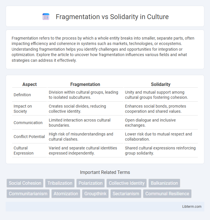Solidarity vs Fragmentation in Culture - What is The Difference?