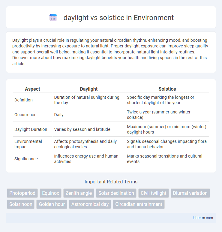 solstice vs daylight in Environment - What is The Difference?