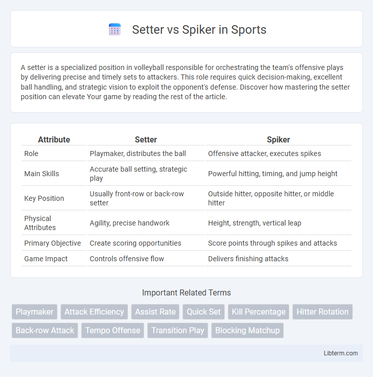 Spiker vs Setter in Sports - What is The Difference?