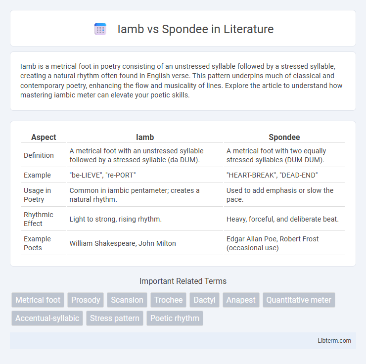 Spondee vs Iamb in Literature - What is The Difference?