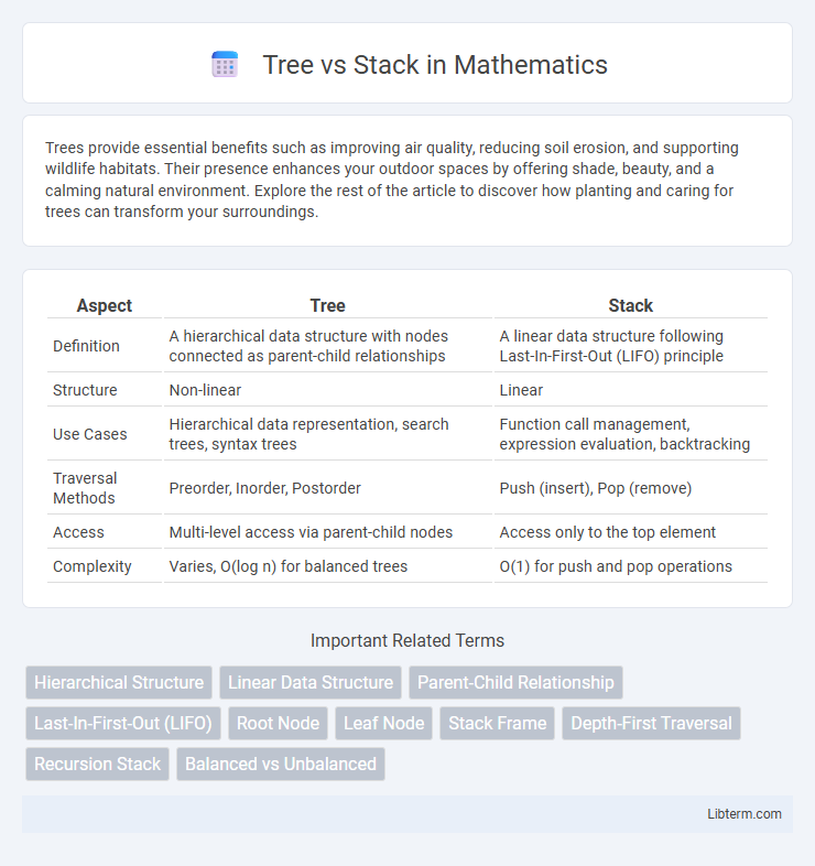 Stack vs Tree in Mathematics - What is The Difference?
