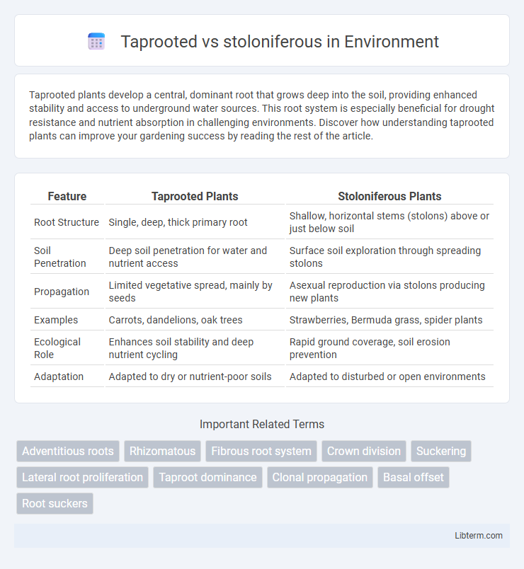 stoloniferous vs Taprooted in Environment - What is The Difference?
