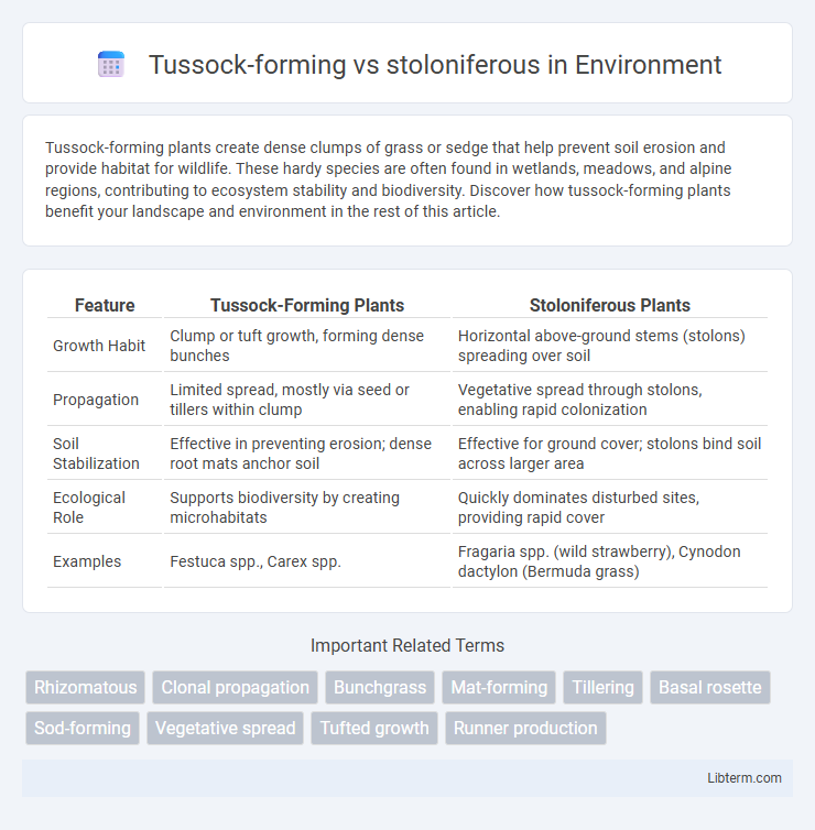 stoloniferous vs Tussock-forming in Environment - What is The Difference?