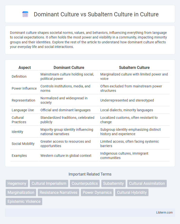 Subaltern Culture vs Dominant Culture in Culture - What is The Difference?