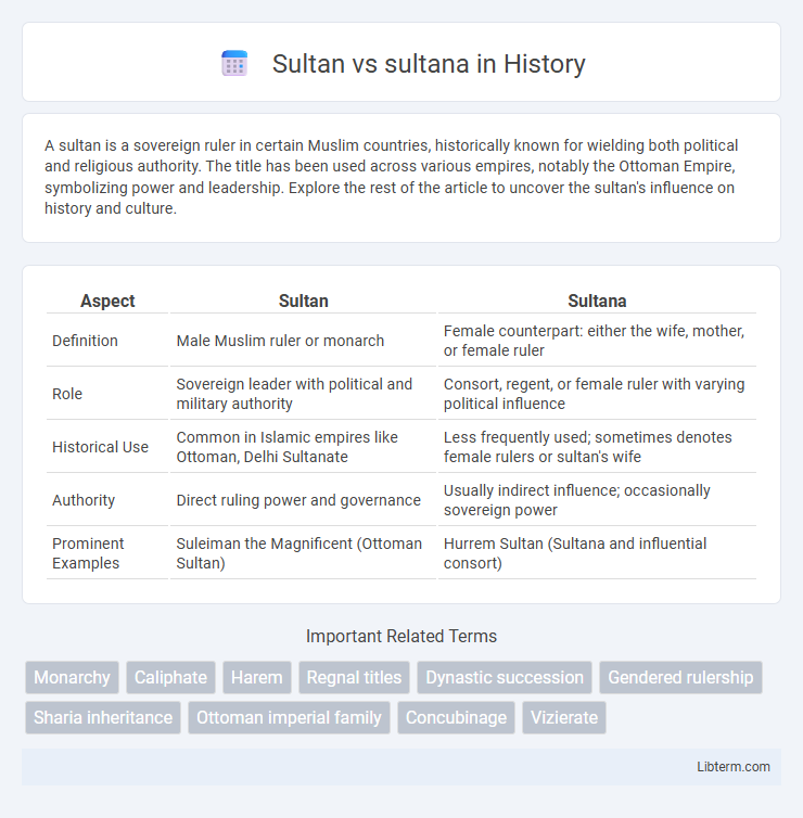 sultana vs Sultan in History - What is The Difference?