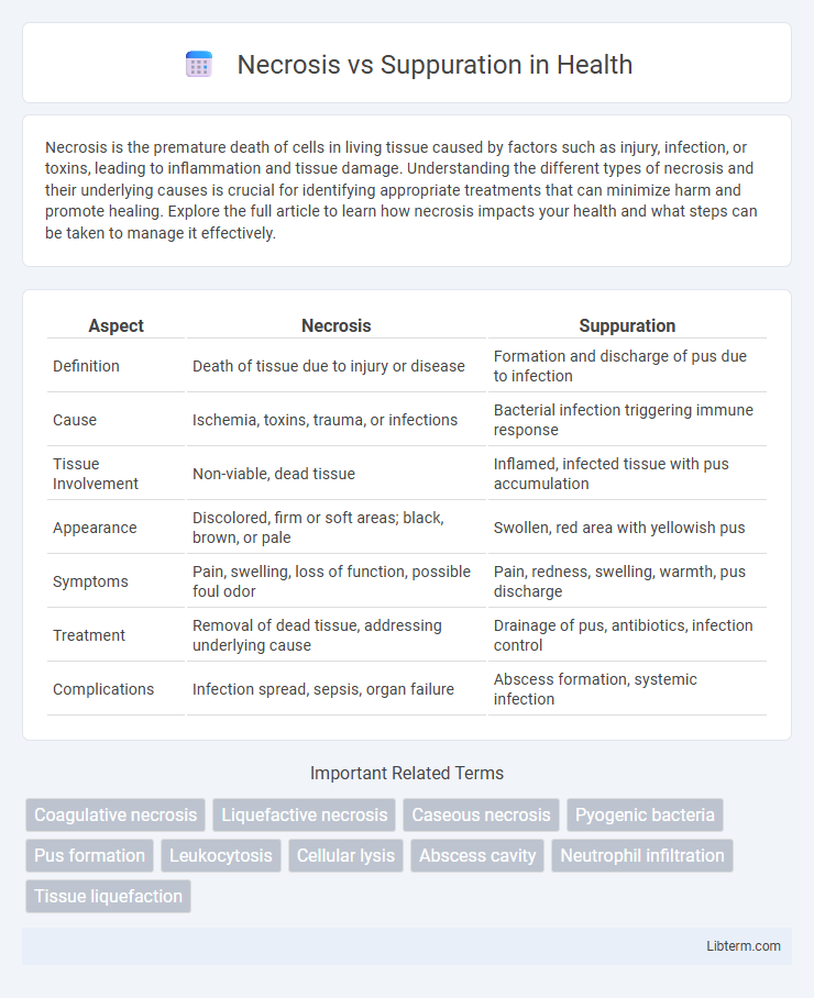 Suppuration vs Necrosis in Health - What is The Difference?