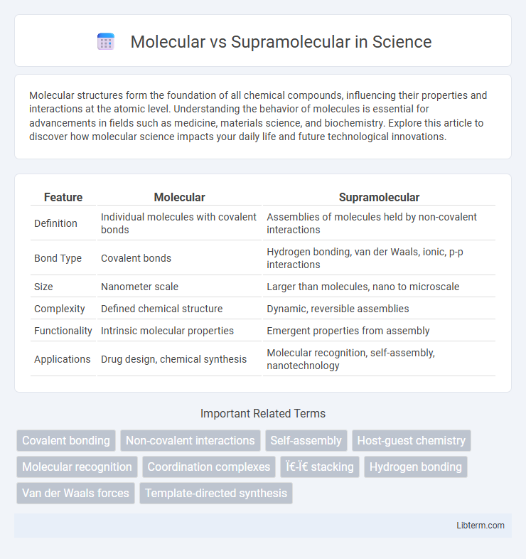 Supramolecular vs Molecular in Science - What is The Difference?