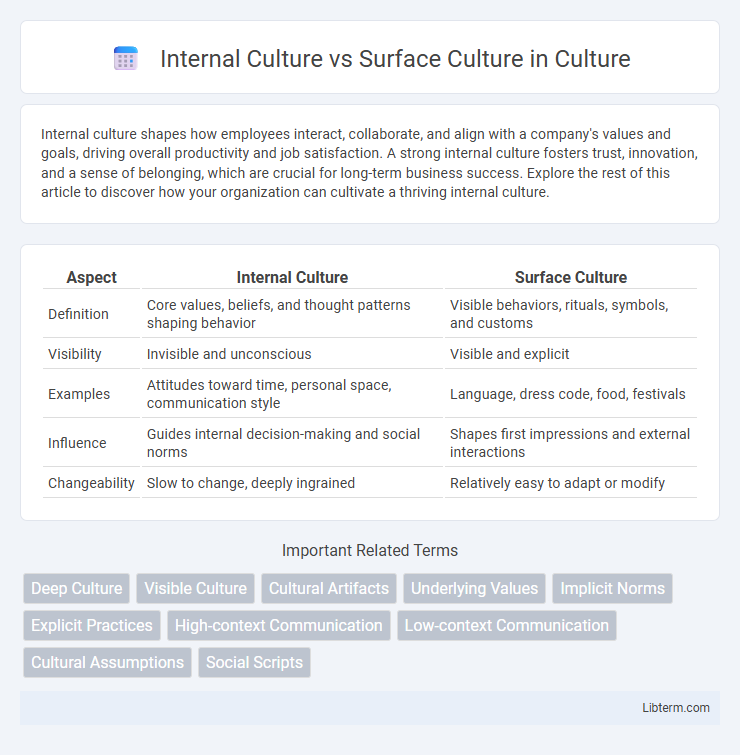 Surface Culture vs Internal Culture in Culture - What is The Difference?