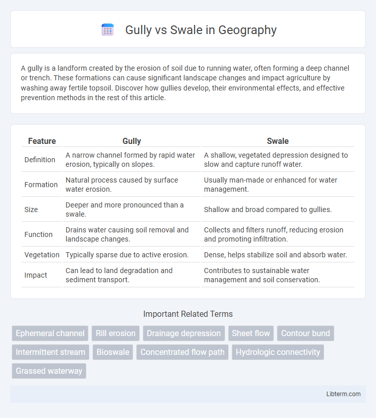 Swale vs Gully in Geography - What is The Difference?