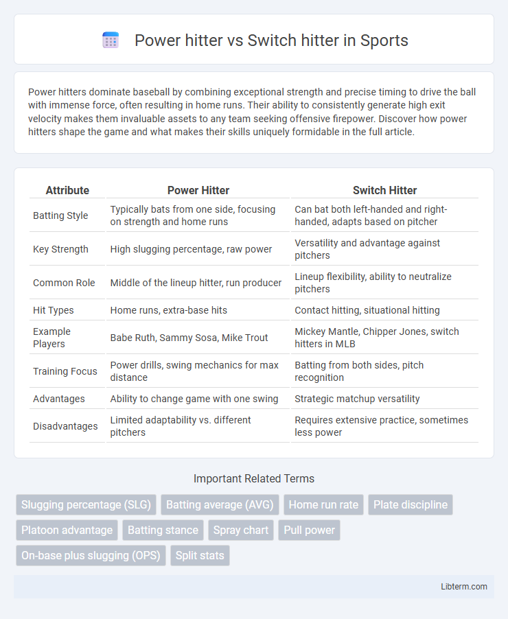 Switch hitter vs Power hitter in Sports - What is The Difference?