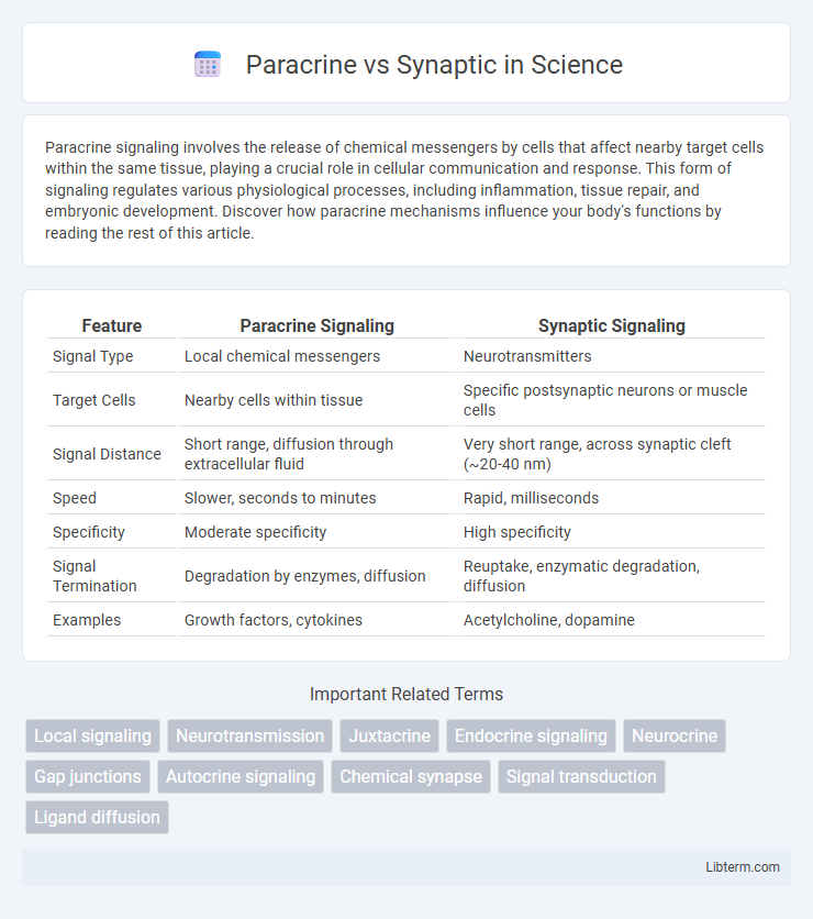 Synaptic vs Paracrine in Science - What is The Difference?