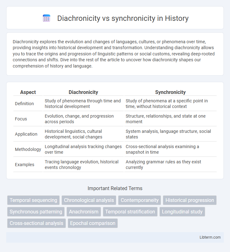 synchronicity vs Diachronicity in History - What is The Difference?