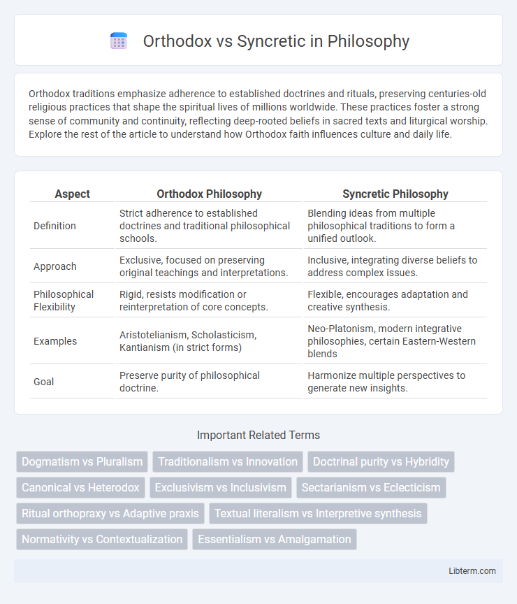Syncretic vs Orthodox in Philosophy - What is The Difference?