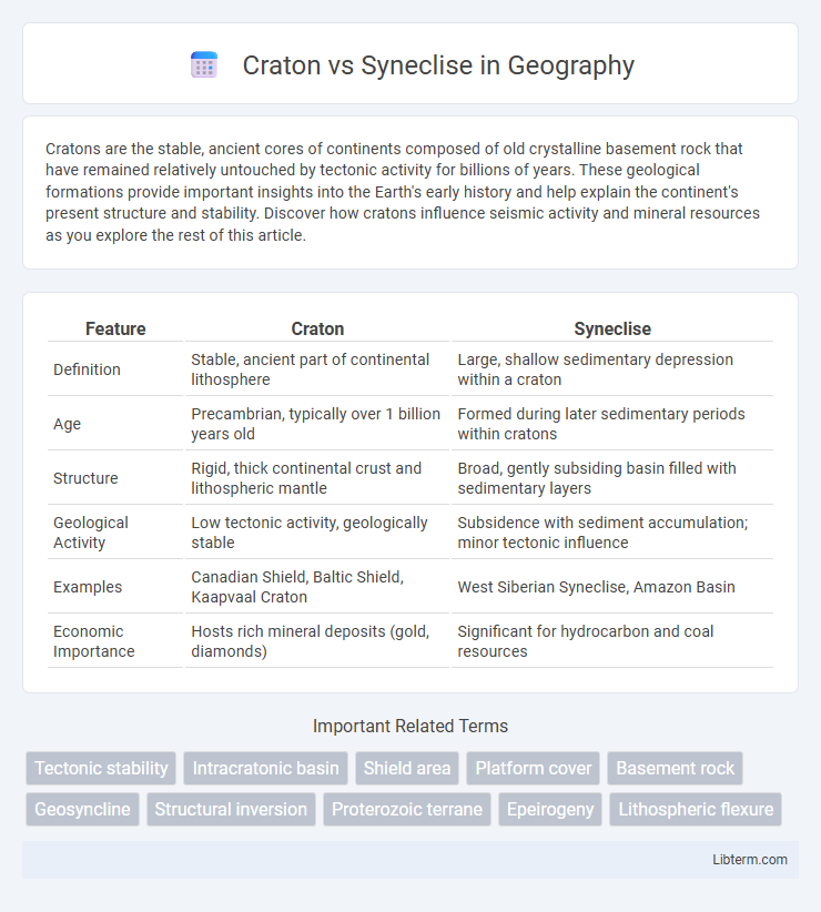 Syneclise vs Craton in Geography - What is The Difference?