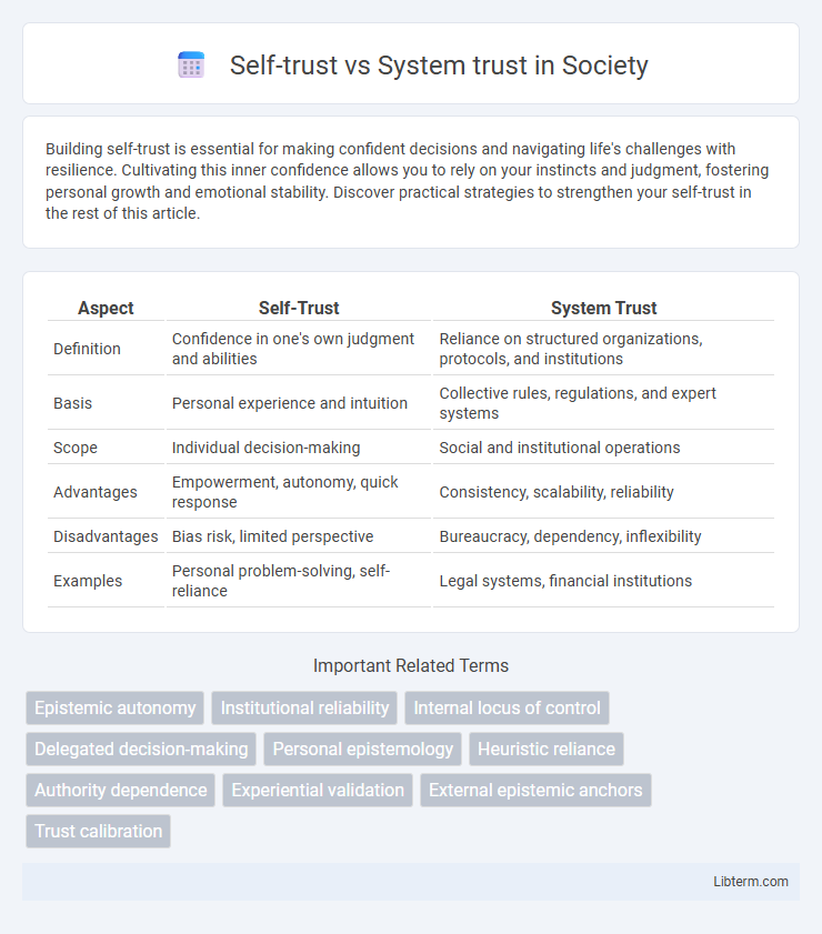 System trust vs Self-trust in Society - What is The Difference?