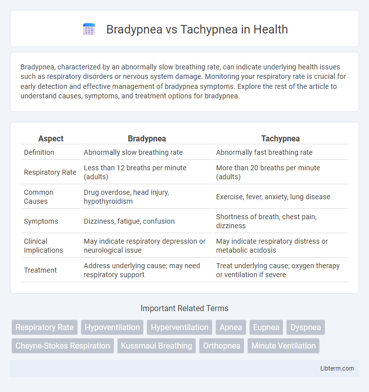 Tachypnea vs Bradypnea in Health - What is The Difference?