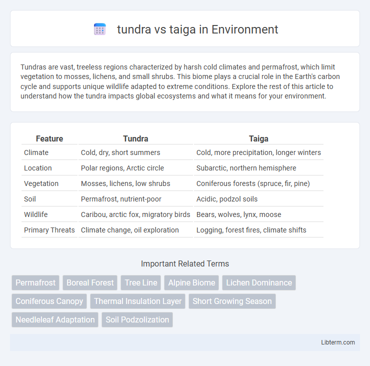 taiga vs tundra in Environment - What is The Difference?