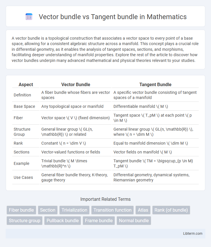 Tangent bundle vs Vector bundle in Mathematics - What is The Difference?