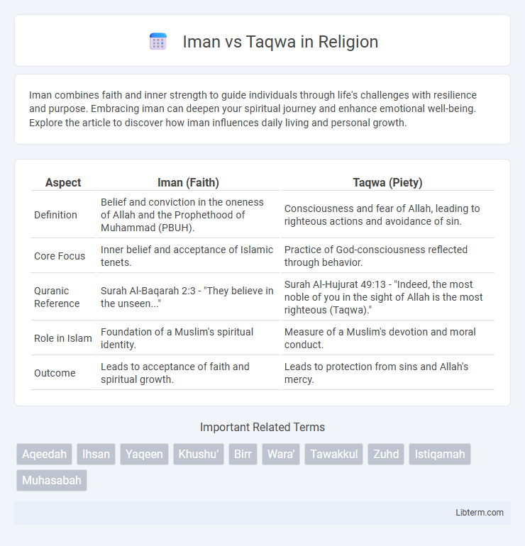 Taqwa vs Iman in Religion - What is The Difference?