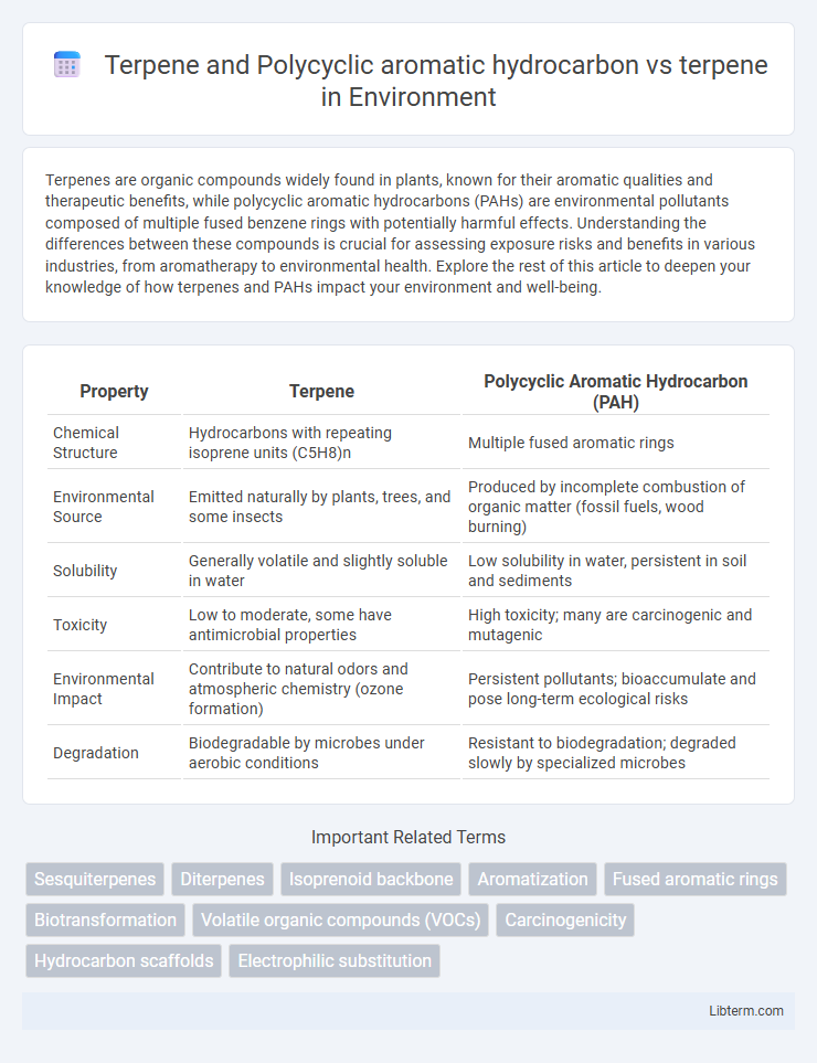 terpene vs Terpene and Polycyclic aromatic hydrocarbon in Environment - What is The Difference?