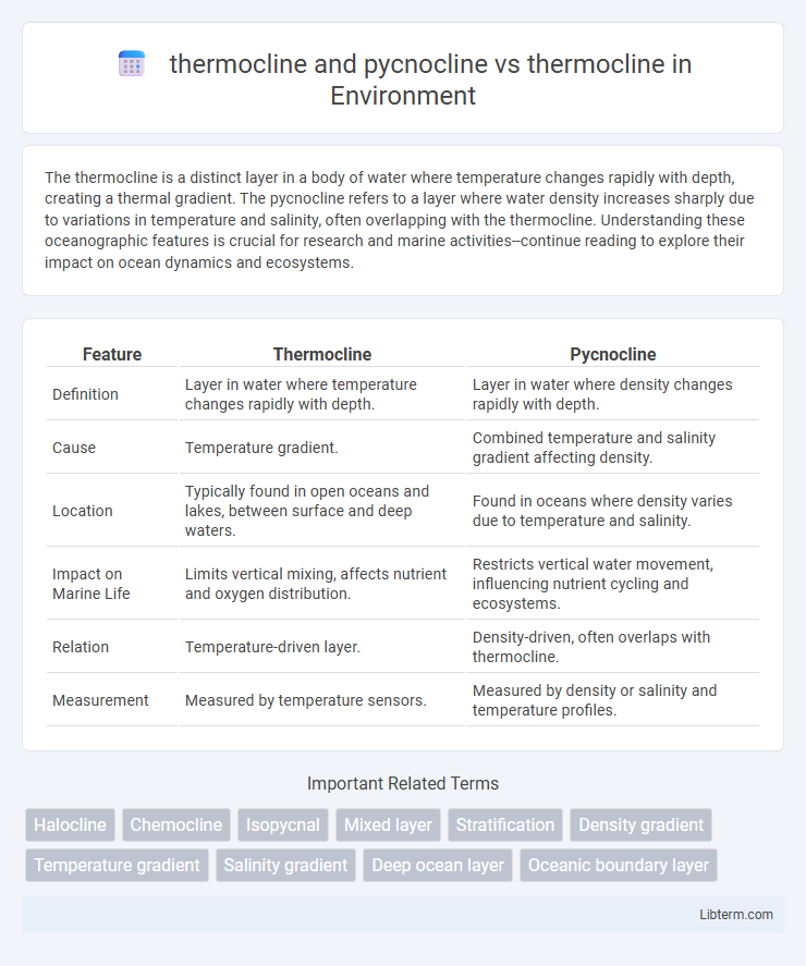 thermocline vs thermocline and pycnocline in Environment - What is The Difference?