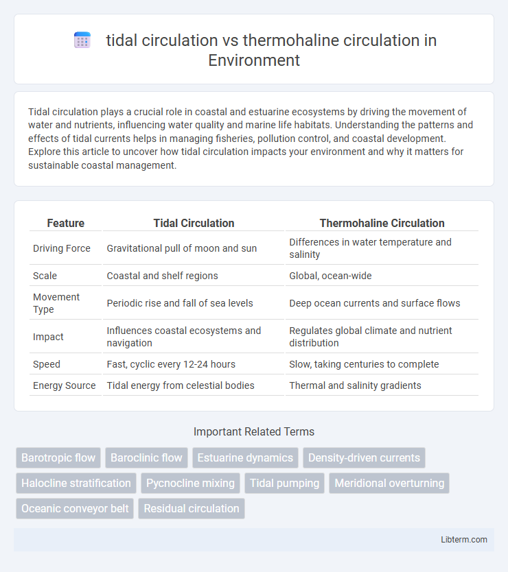 thermohaline circulation vs tidal circulation in Environment - What is The Difference?