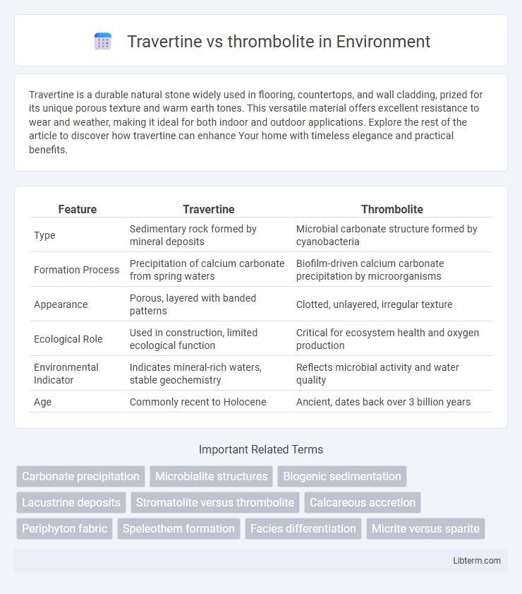 thrombolite vs Travertine in Environment - What is The Difference?