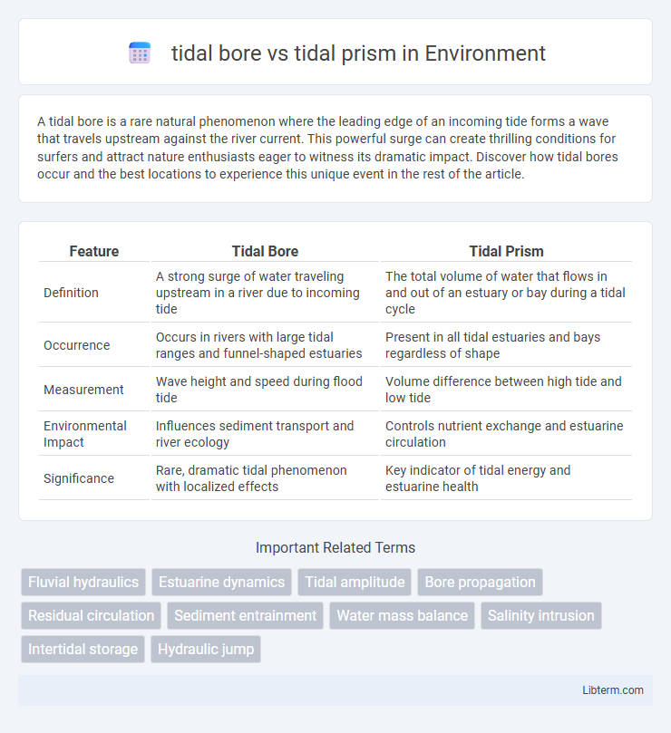 tidal prism vs tidal bore in Environment - What is The Difference?
