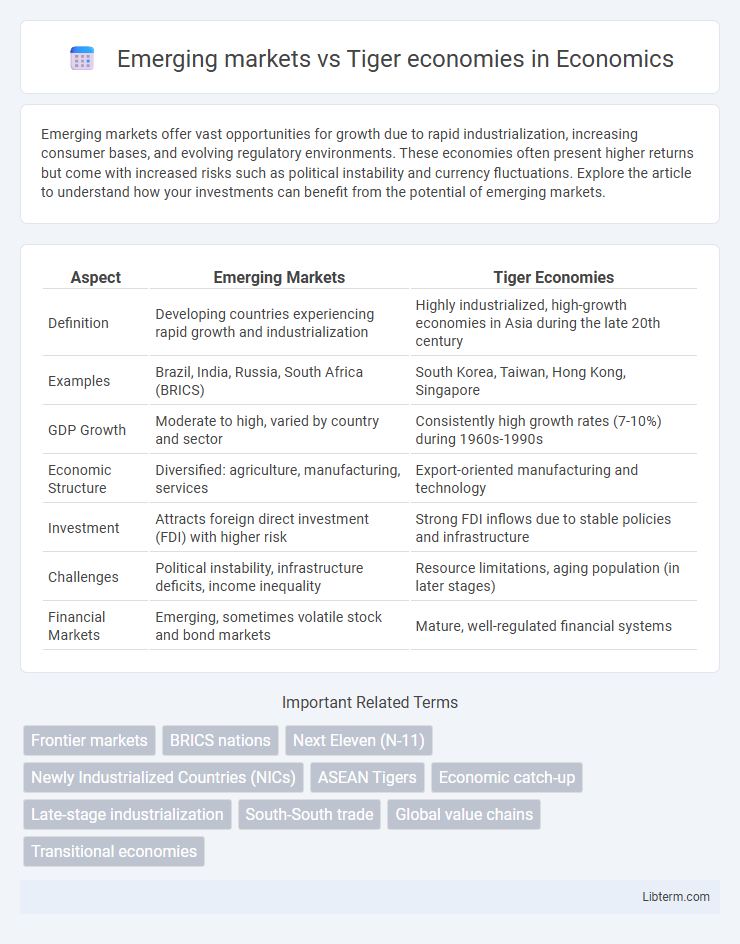 Tiger economies vs Emerging markets in Economics - What is The Difference?