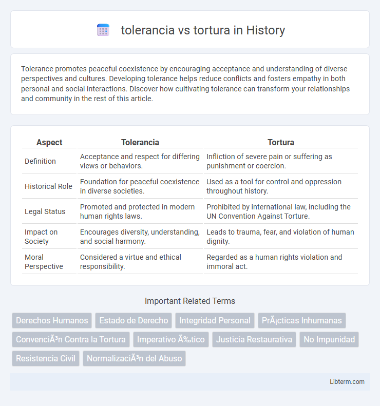 tortura vs tolerancia in History - What is The Difference?