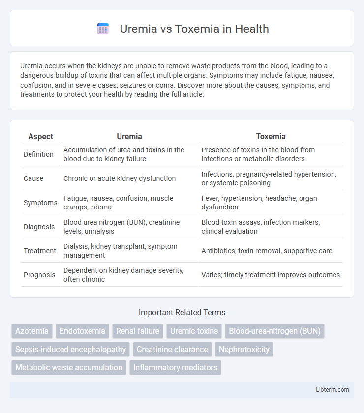 Toxemia vs Uremia in Health - What is The Difference?