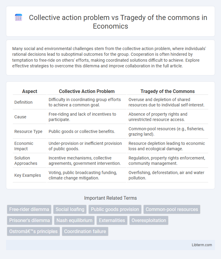 Tragedy of the commons vs Collective action problem in Economics - What is The Difference?
