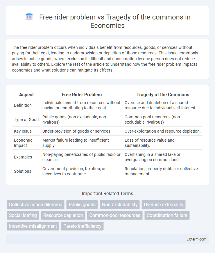 Tragedy of the commons vs Free rider problem in Economics - What is The Difference?