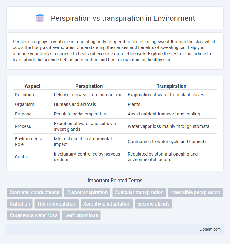 transpiration vs Perspiration in Environment - What is The Difference?