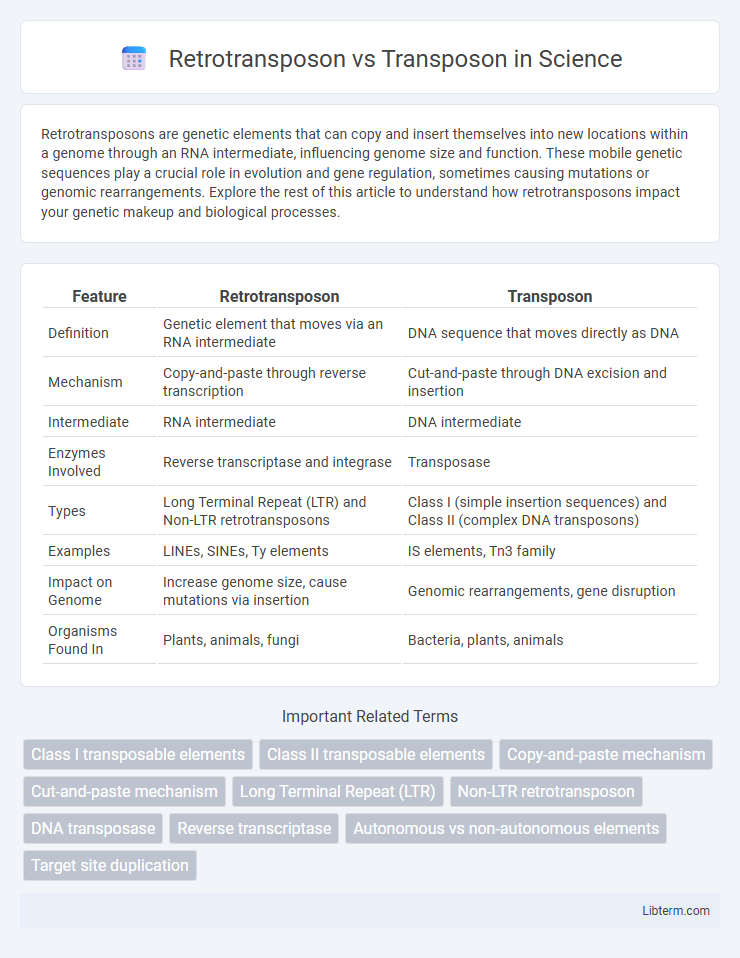 Transposon vs Retrotransposon in Science - What is The Difference?