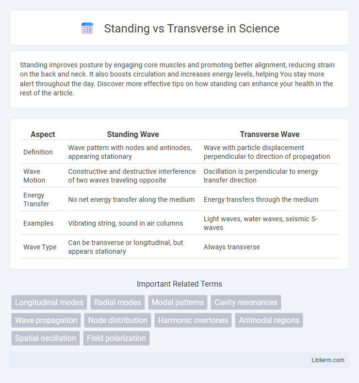Transverse vs Standing in Science - What is The Difference?